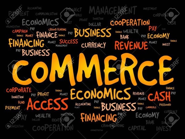 The Scope Of Commerce Education In India 