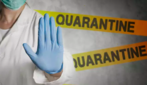 5 things not to do during quarantine