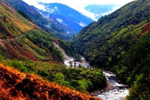 Etalin Hydropower Project to swipe 2.7 lakh trees in Arunachal Pradesh’s Dibang Valley