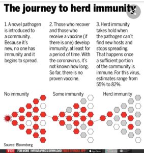 Is Herd Immunity capable of eradicating COVID-19?
