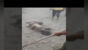 Mob lynching in Saharanpur; UP to become a paradise for Mobs