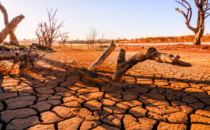 Warmer and Wetter days ahead!
