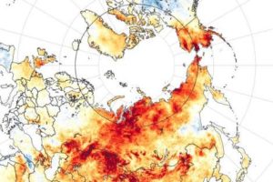 Arctic is warming twice as fast than Elsewhere in the planet
