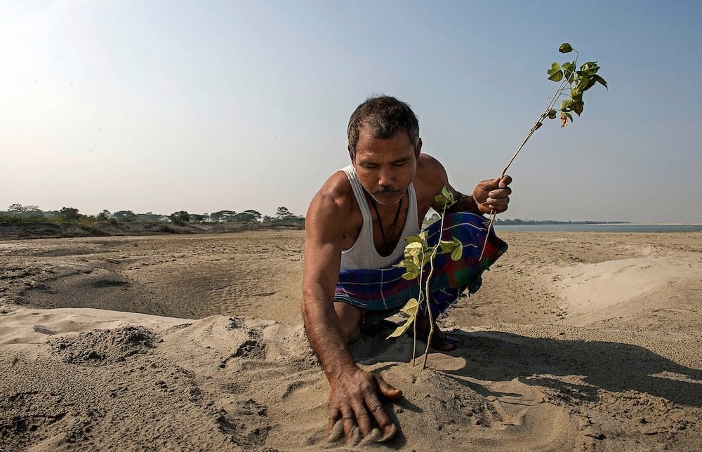 Molai Forest: A single Man plants an Entire Forest.