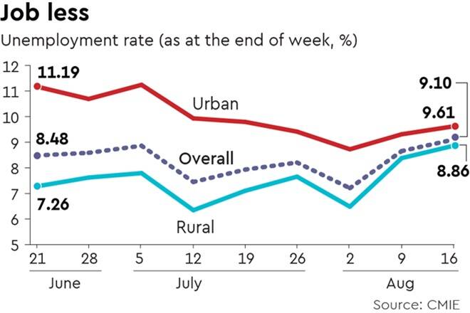 COVID-19 and the Unemployment Affair