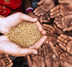 Over 10,000 children on the verge of death: COVID-19 meets hunger crisis and unemployment