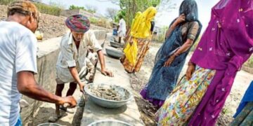 COVID-19 and the Unemployment Affair