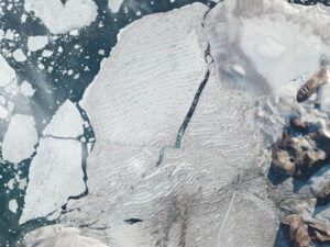 The Melting Arctic: Doom for Humans