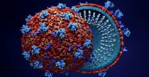 Malaysia witnesses ten-times fatal strain of COVID-19, D614G