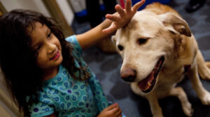 International Dog's Day: Encouraging Love and Adoption. International Dog’s Day: Encouraging Love and Adoption.