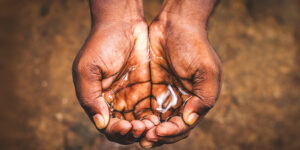 From rice and wheat to millets?