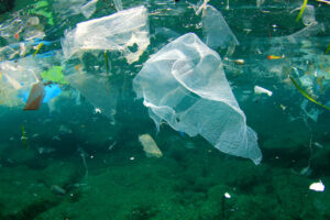 World Ocean beds are replete with 14 million tonnes of microplastics, suggests Australian study