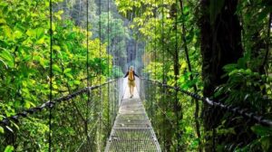 Ecotourism in India: 9 Natural Heritage Destinations for 2026
