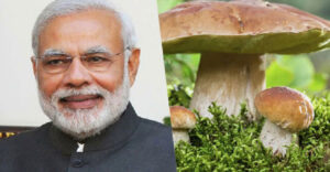 As people sink into poverty, Prime Minister Narendra Modi will have 40,000 per kilo of mushroom in lunch on Himachal visit
