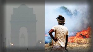Delhi air pollution not essentially induced by farm fires, say officials