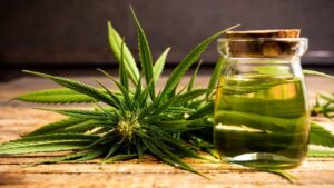 12 Countries Where You Can Smoke Weed And Still Not Get In Trouble