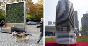10 steps taken worldwide to combat increasing pollution