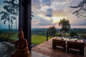 Regenerative Travel: Where Vacation Meets Value