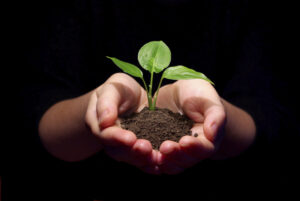 Chennai NGO uses Diwali Trash to Plant Saplings