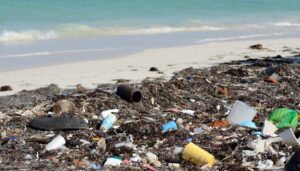 Karnataka the Newlywed couple Skipped  Honeymoon to Clean Over 600Kgs of garbage from Beach.
