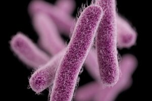 Meanwhile Kerala is battling with Covid, 15 cases of shigellosis has been reported: here’s what it is
