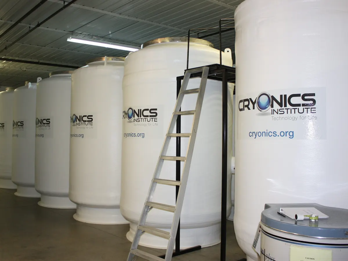 Explaining Cryonics and Escaping your death: Is it possible?