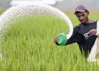 Fertilisers to be sold at previous rates, Price hike withdrawn