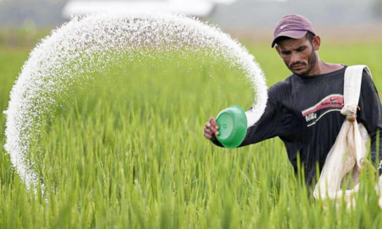Fertilisers to be sold at previous rates, Price hike withdrawn