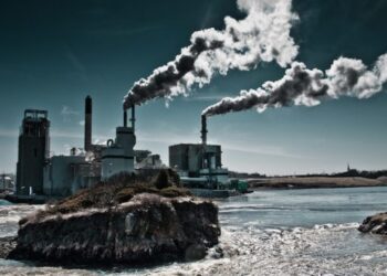 Activists Strongly Urge The Center To Accept NEERI’s Advice To Reevaluate The Draft Of EIA 2020