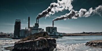 Activists Strongly Urge The Center To Accept NEERI’s Advice To Reevaluate The Draft Of EIA 2020