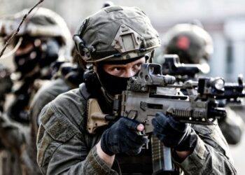 Private Military Corporation: A Hired Military