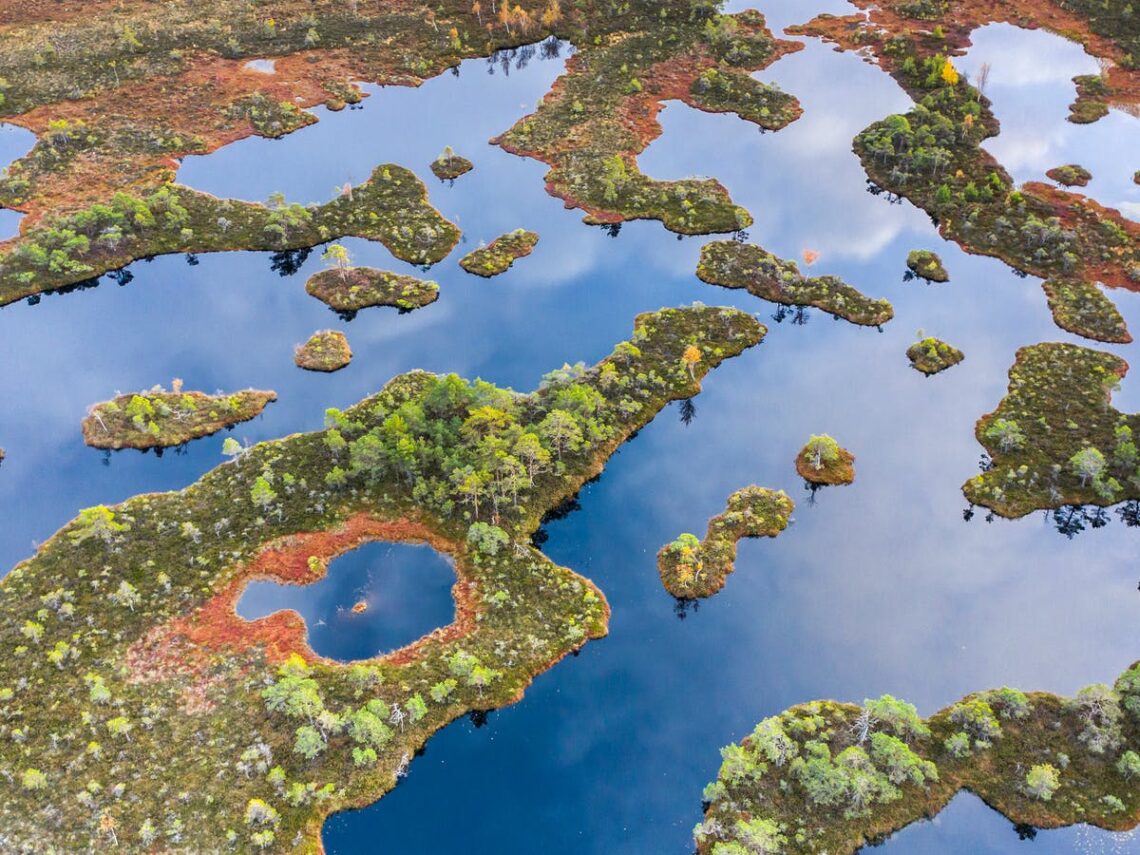 Peatlands running dry, amounting to the release of carbon dioxide worldwide