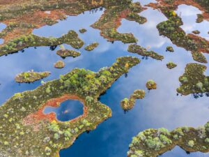 Peatlands running dry, amounting to the release of carbon dioxide worldwide