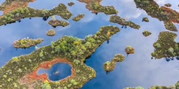 Peatlands running dry, amounting to the release of carbon dioxide worldwide