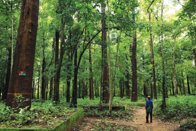 Government Proceeds With The Plan To Amend The Indian Forest Act of 1927