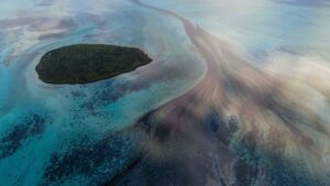 Ecocide: Soon to be a newly recognized worldwide crime