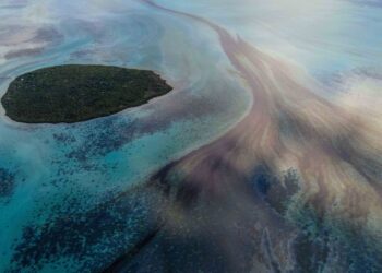 Ecocide: Soon to be a newly recognized worldwide crime