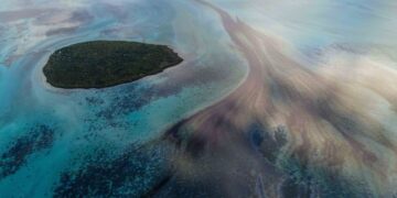 Ecocide: Soon to be a newly recognized worldwide crime