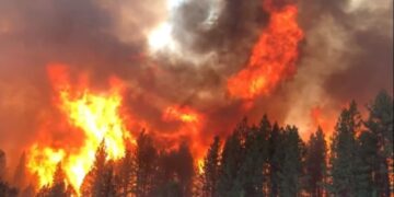 Cooler Weather Conditions pacified Western wildfires in the U.S., but the property loss tally grow.