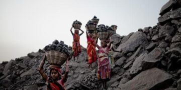 India minimised dependence on fossil fuels by 4% from 2015 to 2019