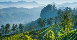Defacement of The Nilgiris: An actual possibility or just wayward anxiety?
