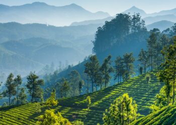 Defacement of The Nilgiris: An actual possibility or just wayward anxiety?