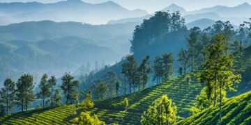 Defacement of The Nilgiris: An actual possibility or just wayward anxiety?