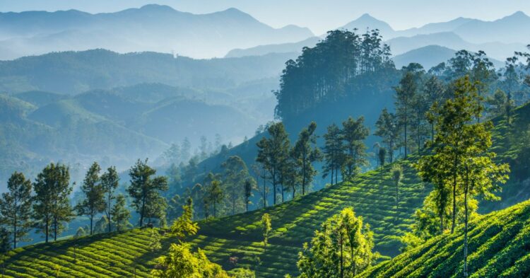 Defacement of The Nilgiris: An actual possibility or just wayward anxiety?