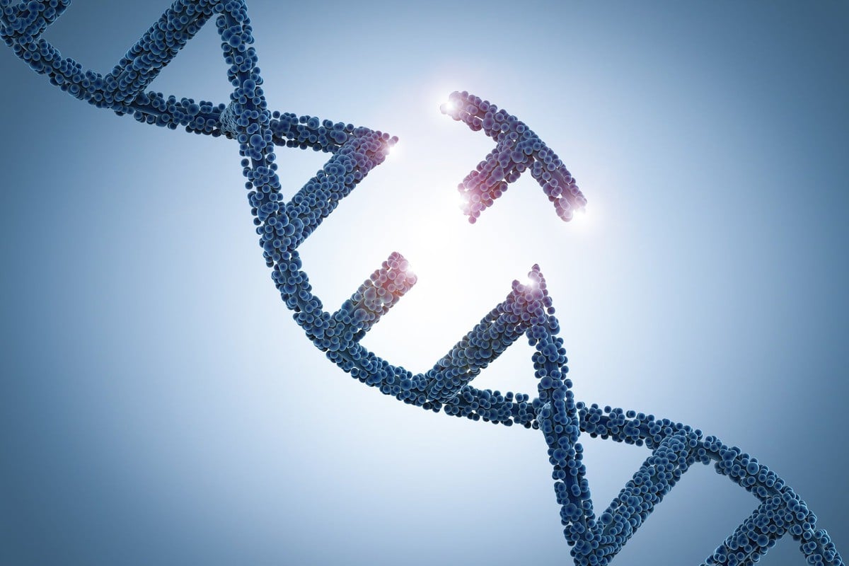 Can Humans Change Their DNA? Social Impacts Of Genome Editing