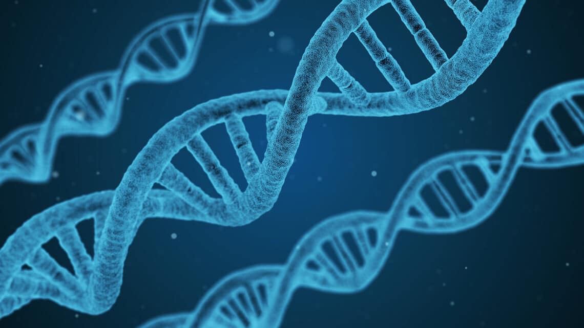Can Humans Change Their DNA? Social Impacts Of Genome Editing