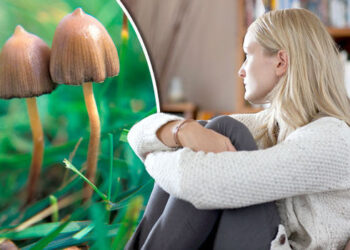 Magic Mushrooms The New Potential Cure For Depression: Yale Study