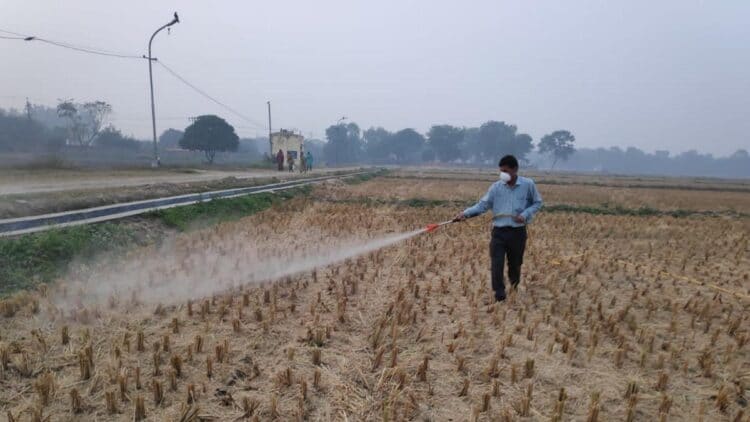 Pusa Tablets, A ‘Microbial Consortium’ Aimed Towards Sustainable Farming