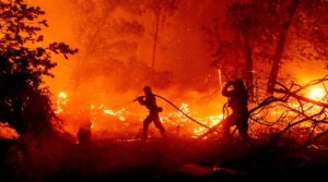 Wildfire Causes Damage To More Than 1 Million Acres Of US And Canada