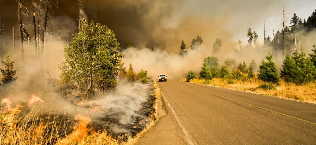 Wildfire smoke may reduce the amount of Rain in Western U.S, says study